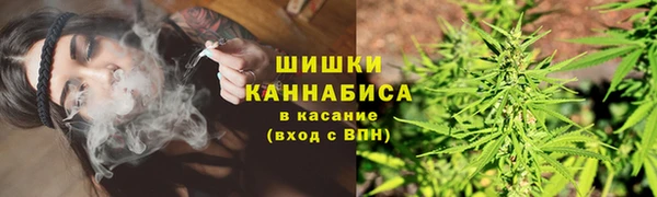 СК Дмитровск