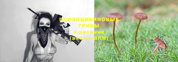 СК Дмитриев