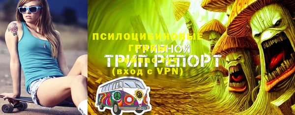 СК Дмитровск
