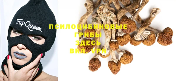 ГАЛЛЮЦИНОГЕННЫЕ ГРИБЫ Дмитров