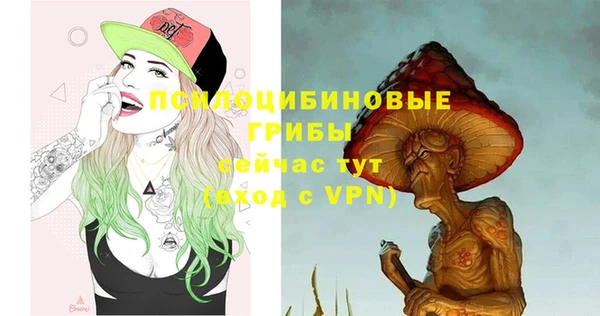 ГАЛЛЮЦИНОГЕННЫЕ ГРИБЫ Дмитров