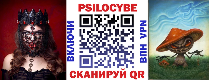 Купить  Оренбург  Галлюциногенные грибы Psilocybine cubensis 