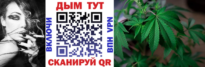 Купить  Оренбург  Бошки марихуана Bruce Banner 